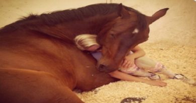 Girl Shows Great Love By Cuddling With Her Horses!