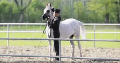 He Takes Off His Reins And Sets Him Free. Now Keep Your Eyes On The PERFECT Horse…