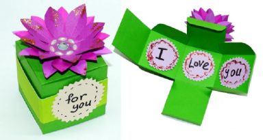 Gift Boxes