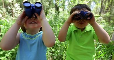 Binoculars