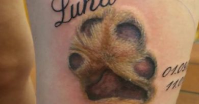 Tattoos Paws