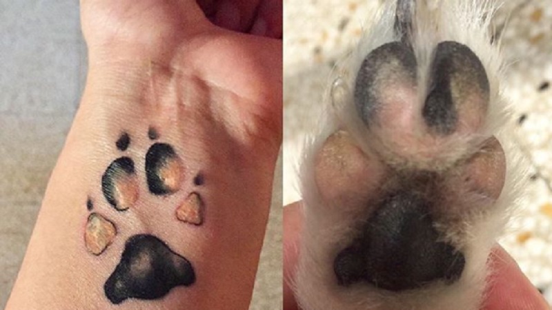 Tattoos Paws 