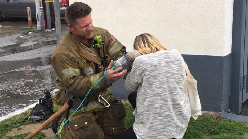 Firefighter Save Dog 