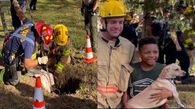 Virginia Firefighters Dog 