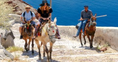 Tourists Horses