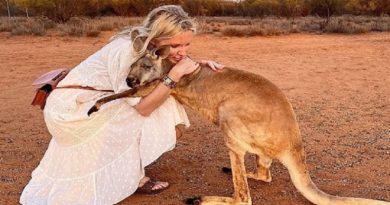 Kangaroo Hugging