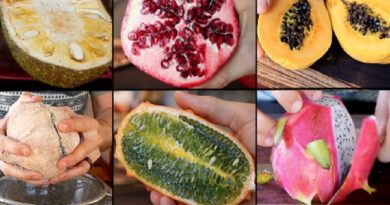 Exotic Fruits