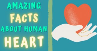 HUMAN HEART