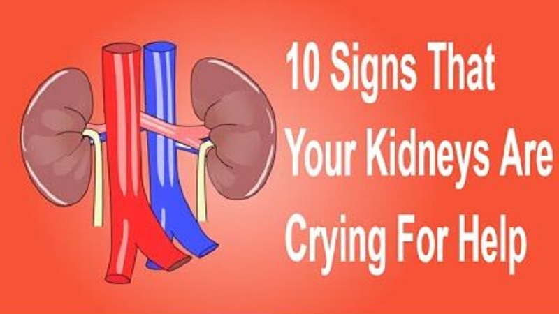 Kidneys Crying